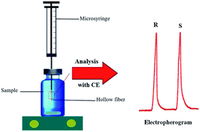 Graphical abstract: Hollow fiber supported liquid-phase microextraction combined with maltodextrin-modified capillary electrophoresis for the determination of citalopram enantiomers in urine samples