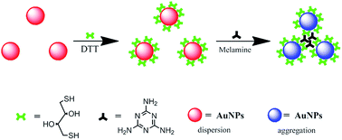 Graphical abstract: Sensitive colorimetric detection of melamine with 1,4-dithiothreitol modified gold nanoparticles