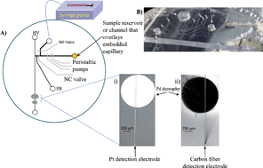 Graphical abstract: Integrated hybrid polystyrene–polydimethylsiloxane device for monitoring cellular release with microchip electrophoresis and electrochemical detection