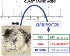 Graphical abstract: Amino acid composition of human scalp hair as a biometric classifier and investigative lead
