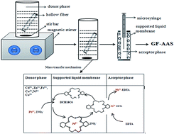 Graphical abstract: Selective extraction and preconcentration of trace lead(ii) in medicinal plant-based ionic liquid hollow fiber liquid phase microextraction system using dicyclohexyl-18-crown-6 as membrane carrier