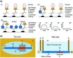 Graphical abstract: Thermoelectric lab-on-a-chip ELISA