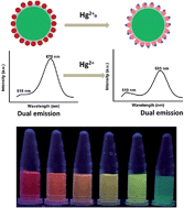 Graphical abstract: An efficient ratiometric fluorescent probe based on dual-emission fluorescent silica nanoparticles for visual determination of Hg2+