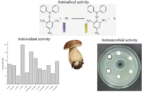 Graphical abstract: Screening of antioxidant, antimicrobial and antiradical activities of twelve selected Serbian wild mushrooms