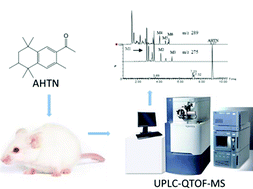 Graphical abstract: Identification of metabolites of AHTN in rat urine and feces by liquid chromatography/electrospray ionization quadrupole time-of-flight tandem mass spectrometry