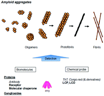 Graphical abstract: Application of biomaterials for the detection of amyloid aggregates