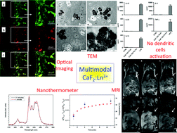 Graphical abstract: Multifunctional nanoprobes based on upconverting lanthanide doped CaF2: towards biocompatible materials for biomedical imaging