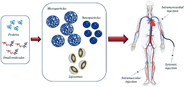 Graphical abstract: Micro- and nanoparticles for treating cardiovascular disease