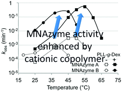 Graphical abstract: MNAzyme-catalyzed nucleic acid detection enhanced by a cationic copolymer