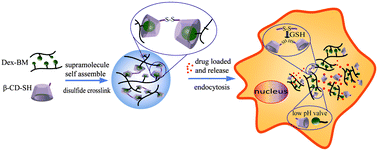 Graphical abstract: Dual responsive supramolecular nanogels for intracellular drug delivery