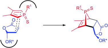 Graphical abstract: P-chiral phosphorus heterocycles: a straightforward synthesis