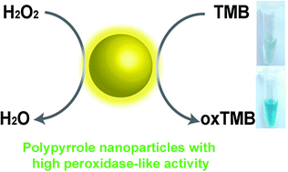 Graphical abstract: Polypyrrole nanoparticles as promising enzyme mimics for sensitive hydrogen peroxide detection