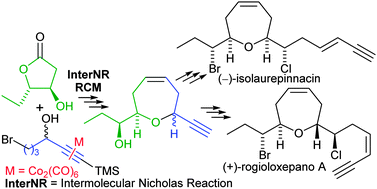 Graphical abstract: β-Hydroxy-γ-lactones as nucleophiles in the Nicholas reaction for the synthesis of oxepene rings. Enantioselective formal synthesis of (−)-isolaurepinnacin and (+)-rogioloxepane A