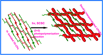 Graphical abstract: Coordination polymers of organic polymers synthesized via photopolymerization of single crystals: two-dimensional hydrogen bonding layers with amazing shock absorbing nature