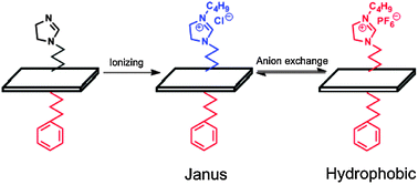 Graphical abstract: Ionic liquid functionalized Janus nanosheets