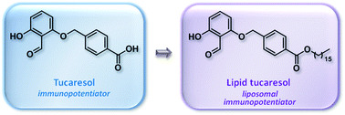 Graphical abstract: Lipid tucaresol as an adjuvant for methamphetamine vaccine development