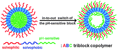 Graphical abstract: Nanoparticle-to-vesicle and nanoparticle-to-toroid transitions of pH-sensitive ABC triblock copolymers by in-to-out switch