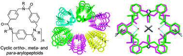 Graphical abstract: Macrocyclic arylopeptoids – a novel type of cyclic N-alkylated aromatic oligoamides forming nanotubular assemblies
