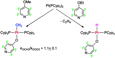 Graphical abstract: Oxidative addition of ether O-methyl bonds at a Pt(0) centre