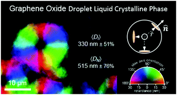 Graphical abstract: pH dependent isotropic to nematic phase transitions in graphene oxide dispersions reveal droplet liquid crystalline phases