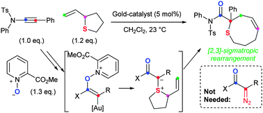 Graphical abstract: A gold-catalysed fully intermolecular oxidation and sulfur-ylide formation sequence on ynamides