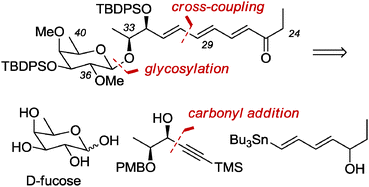 Graphical abstract: An enantioselective synthesis of the C24–C40 fragment of (−)-pulvomycin