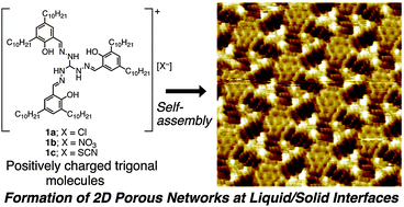 Graphical abstract: Porous molecular networks formed by the self-assembly of positively-charged trigonal building blocks at the liquid/solid interfaces