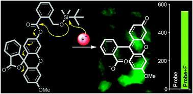 Graphical abstract: A cascade reaction based fluorescent probe for rapid and selective fluoride ion detection