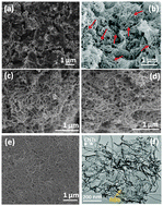 Graphical abstract: The nanoscale carbon p–n junction between carbon nanotubes and N,B-codoped holey graphene enhances the catalytic activity towards selective oxidation