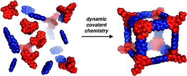 Graphical abstract: Dynamic covalent assembly of tribenzotriquinacenes into molecular cubes
