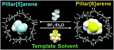 Graphical abstract: The template effect of solvents on high yield synthesis, co-cyclization of pillar[6]arenes and interconversion between pillar[5]- and pillar[6]arenes