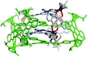 Graphical abstract: Molecular self-assembly of arene-Ru based interlocked catenane metalla-cages
