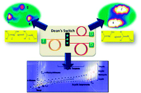 Graphical abstract: Multidimensional gas chromatography beyond simple volatiles separation
