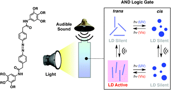 Graphical abstract: A physical operation of hydrodynamic orientation of an azobenzene supramolecular assembly with light and sound