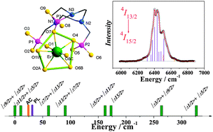 Graphical abstract: A layered erbium phosphonate in pseudo-D5h symmetry exhibiting field-tunable magnetic relaxation and optical correlation