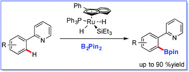Graphical abstract: Ruthenium catalysed C–H bond borylation