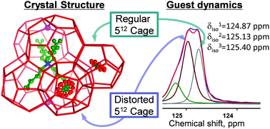 Graphical abstract: Guest-induced symmetry lowering of an ionic clathrate material for carbon capture