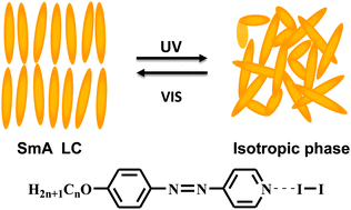 Graphical abstract: Photoresponsive liquid crystals based on halogen bonding of azopyridines