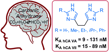 Graphical abstract: Ethylene bis-imidazoles are highly potent and selective activators for isozymes VA and VII of carbonic anhydrase, with a potential nootropic effect