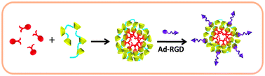 Graphical abstract: Poly β-cyclodextrin inclusion-induced formation of two-photon fluorescent nanomicelles for biomedical imaging