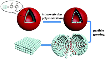 Graphical abstract: Synthesis of monodisperse nanocolloidal microspheres with controlled size by vesicle bilayer templating