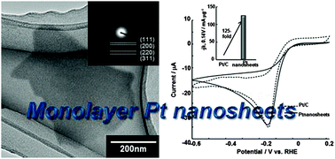 Graphical abstract: Synthesis of monolayer platinum nanosheets