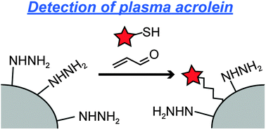 Graphical abstract: Practical fluorescence detection of acrolein in human plasma via a two-step tethering approach