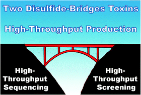 Graphical abstract: High-throughput production of two disulphide-bridge toxins