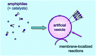 Graphical abstract: Emergent properties arising from the assembly of amphiphiles. Artificial vesicle membranes as reaction promoters and regulators