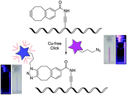 Graphical abstract: 2′-Deoxyuridine conjugated with a reactive monobenzocyclooctyne as a DNA building block for copper-free click-type postsynthetic modification of DNA