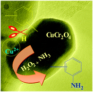 Graphical abstract: Direct catalytic oxyamination of benzene to aniline over Cu(ii) nanoclusters supported on CuCr2O4 spinel nanoparticles via simultaneous activation of C–H and N–H bonds
