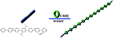 Graphical abstract: The construction of rigid supramolecular polymers in water through the self-assembly of rod-like monomers and cucurbit[8]uril