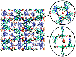 Graphical abstract: Insights into an intriguing gas sorption mechanism in a polar metal–organic framework with open-metal sites and narrow channels