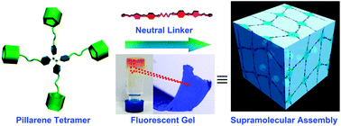 Graphical abstract: Stimuli-responsive blue fluorescent supramolecular polymers based on a pillar[5]arene tetramer